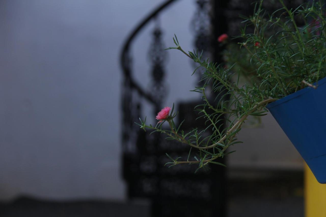 אורוויל De Asian Villa Pondicherry מראה חיצוני תמונה